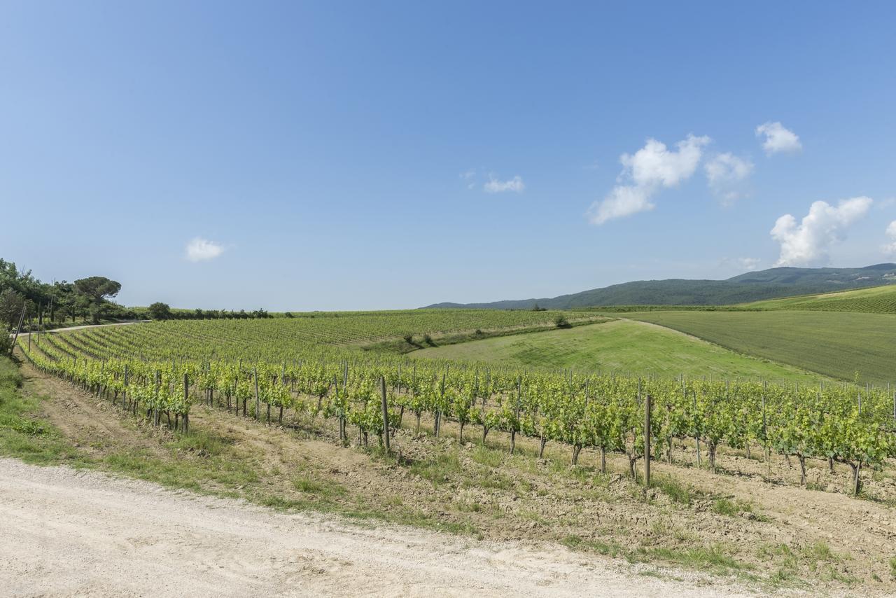 Wine Resort Colsereno Montalcino Exterior photo